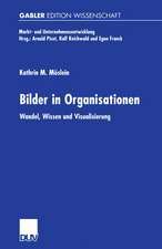 Bilder in Organisationen: Wandel, Wissen und Visualisierung