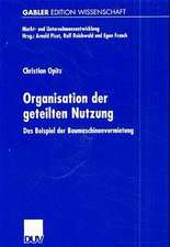 Organisation der geteilten Nutzung: Das Beispiel der Baumaschinenvermietung