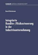 Integrierte Rendite-/Risikosteuerung in der Industrieunternehmung: Betriebswirtschaftliche Konzeption und Umsetzung auf der Basis von Standardsoftware