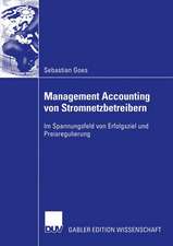 Management Accounting von Stromnetzbetreibern: Im Spannungsfeld von Erfolgsziel und Preisregulierung