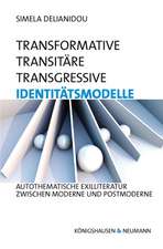 Transformative - transitäre -transgressive Identitätsmodelle