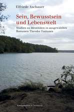 Sein, Bewusstsein und Lebenswelt