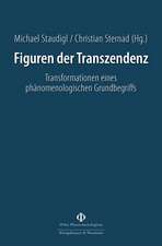 Figuren der Transzendenz