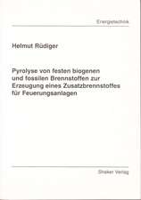 Pyrolyse von festen biogenen und fossilen Brennstoffen zur Erzeugung eines Zusatzbrennstoffes für Feuerungsanlagen