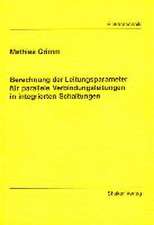 Berechnung der Leitungsparameter für parallele Verbindungsleitungen in integrierten Schaltungen