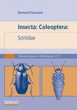 Insecta: Coleoptera: Scirtidae: Süßwasserfauna von Mitteleuropa. Bd. 20/17