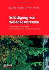 Schädigung von Waldökosystemen