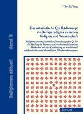 Das ostasiatische Qi (¿)-Konzept als Denkparadigma zwischen Religion und Wissenschaft