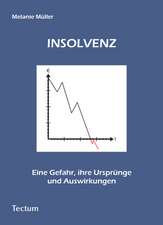 Insolvenz - Eine Gefahr, Ihre Urspr Nge Und Auswirkungen