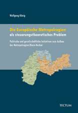 Die Europäische Metropolregion als steuerungstheoretisches Problem