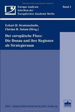 Der europäische Fluss: Die Donau und ihre Regionen als Strategieraum