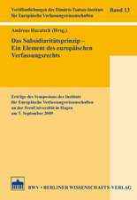 Das Subsidiaritätsprinzip - Ein Element des europäischen Verfassungsrechts