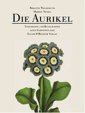 Die Aurikel