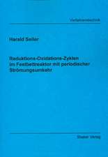 Reduktions-Oxidations-Zyklen im Festbettreaktor mit periodischer Strömungsumkehr