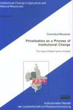 Privatisation as a Process of Institutional Change