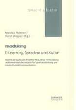 E-Learning, Sprachen und Kultur