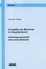 Hirngefässe des Menschen im Ausgusspräparat - Aufzweigungsmuster mit Lumenrelationen