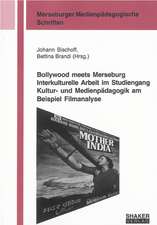 Bollywood meets Merseburg Interkulturelle Arbeit im Studiengang Kultur- und Medienpädagogik am Beispiel Filmanalyse