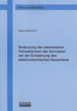 Bedeutung der elementaren Teilreaktionen der Korrosion bei der Entstehung des elektrochemischen Rauschens