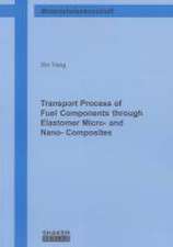 Transport Process of Fuel Components through Elastomer Micro- and Nano- Composites