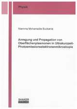 Anregung und Propagation von Oberflächenplasmonen in Ultrakurzzeit-Photoemissionselektronenmikroskopie