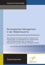 Strategisches Management in Der M Belindustrie: The Sea