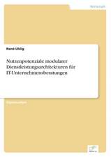 Nutzenpotenziale Modularer Dienstleistungsarchitekturen Fur It-Unternehmensberatungen: Chancen Und Risiken