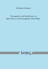 Propagation and Interference of Spin Waves in Ferromagnetic Thin Films