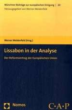 Lissabon in Der Analyse: Der Reformvertrag Der Europaischen Union