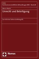 Unrecht Und Beteiligung: Zur Kritik Des Tatherrschaftsbegriffs