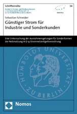 Günstiger Strom für Industrie und Sonderkunden