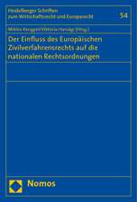 Der Einfluss Des Europaischen Zivilverfahrensrechts Auf Die Nationalen Rechtsordnungen: Gefahrenlagen, Schutzmoglichkeiten, Schutzlucken