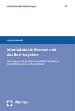 Internationale Normen und das Rechtssystem