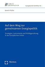 Auf dem Weg zur gemeinsamen Energiepolitik