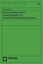 Kommunalisierung Von Umweltaufgaben Im Europaischen Mehrebenensystem: Kommentiertes Prozessformularbuch