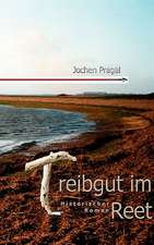 Treibgut Im Reet: Jarvis Landing