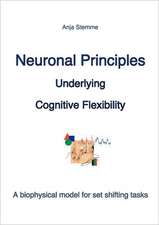 Neuronal principles underlying cognitive flexibility