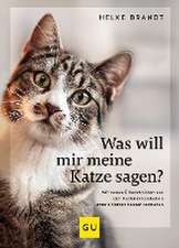 Was will mir meine Katze sagen?