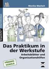 Das Praktikum in der Werkstufe