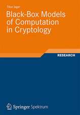 Black-Box Models of Computation in Cryptology