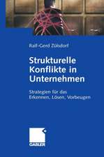 Strukturelle Konflikte in Unternehmen: Strategien für das Erkennen, Lösen, Vorbeugen