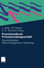 Praxishandbuch Firmenkundengeschäft: Geschäftsfelder, Risikomanagement, Marketing