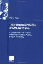 The Formation Process of SME Networks: A comparative case analysis of social processes in Austria, Belgium and Turkey