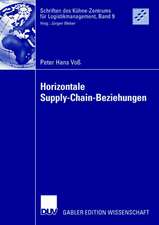 Horizontale Supply-Chain-Beziehungen: Potentiale der Zusammenarbeit zwischen Zulieferern in Supply Chains