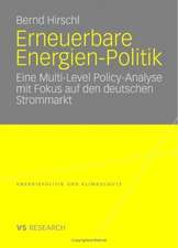 Erneuerbare Energien-Politik: Eine Multi-Level Policy-Analyse mit Fokus auf den deutschen Strommarkt