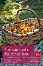 Pilze sammeln das ganze Jahr