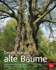 Deutschlands alte Bäume