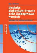 Simulation biochemischer Prozesse in der Siedlungswasserwirtschaft