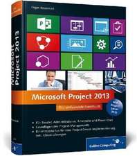 Microsoft Project 2013