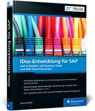 IDoc-Entwicklung für SAP